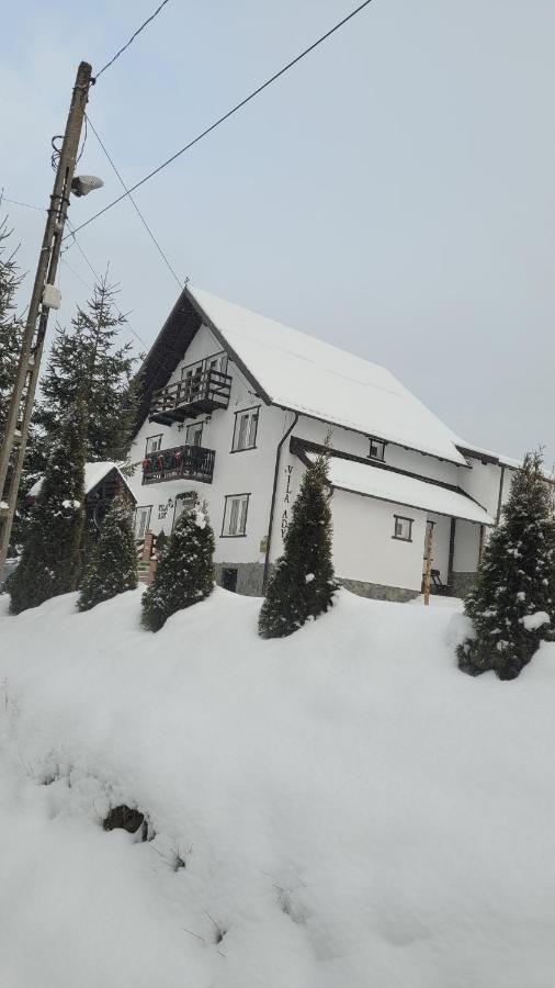 Pensiunea Casa Ady Bran  Dış mekan fotoğraf