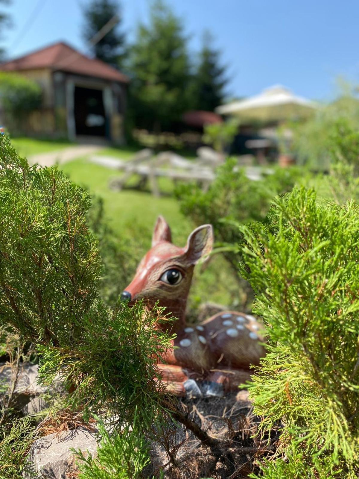 Pensiunea Casa Ady Bran  Oda fotoğraf