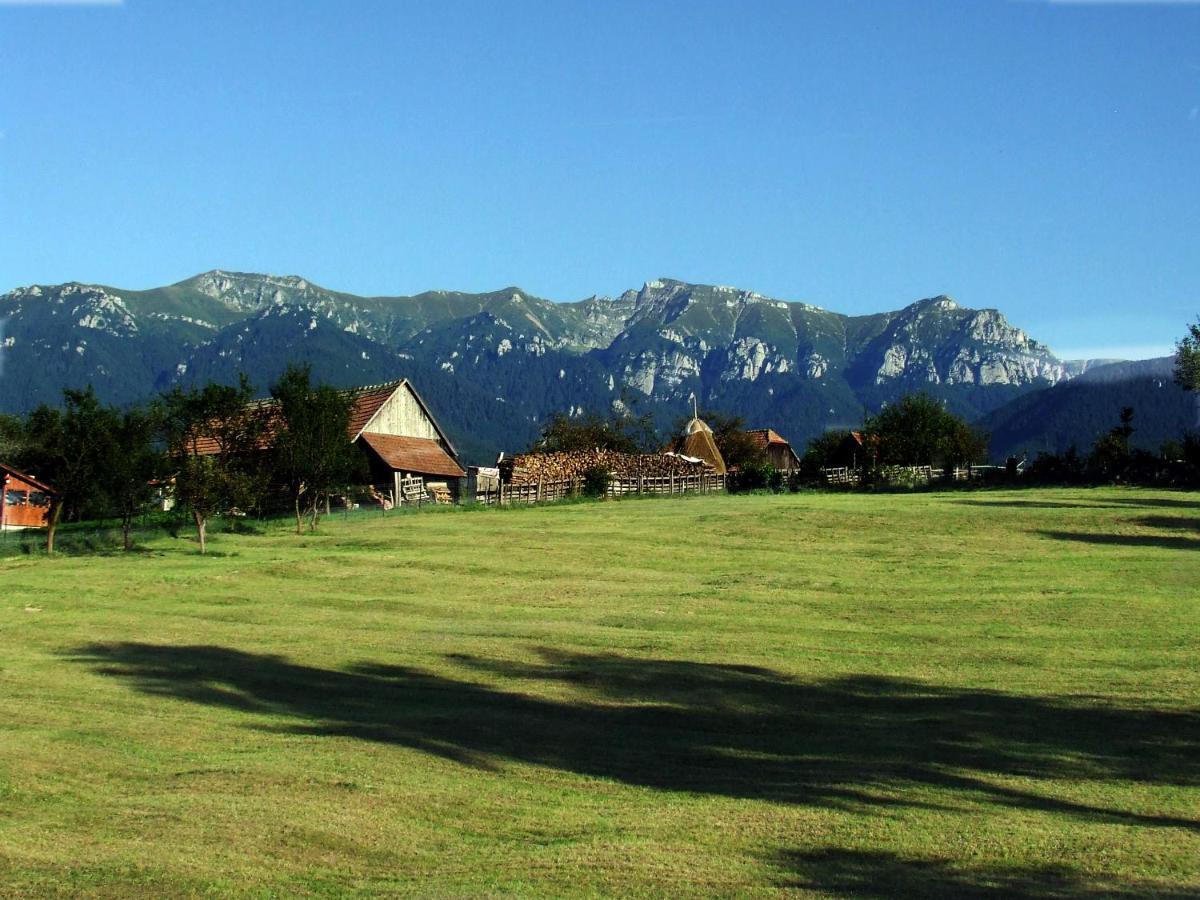 Pensiunea Casa Ady Bran  Dış mekan fotoğraf