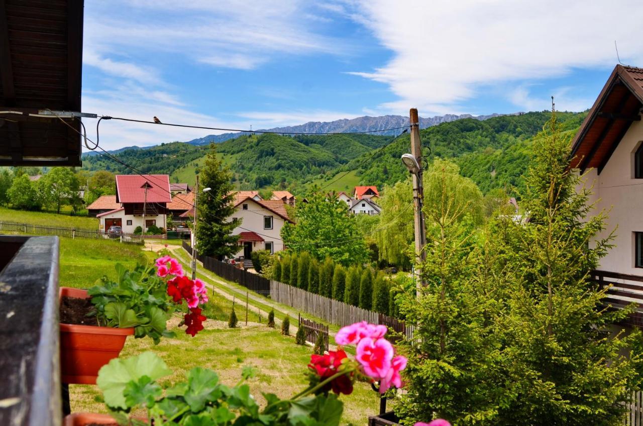 Pensiunea Casa Ady Bran  Dış mekan fotoğraf
